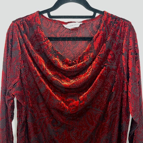 Alison Daley Red Velvet and Black Mesh Fairygoth Holiday Blouse Womens Size L - Picture 3 of 8
